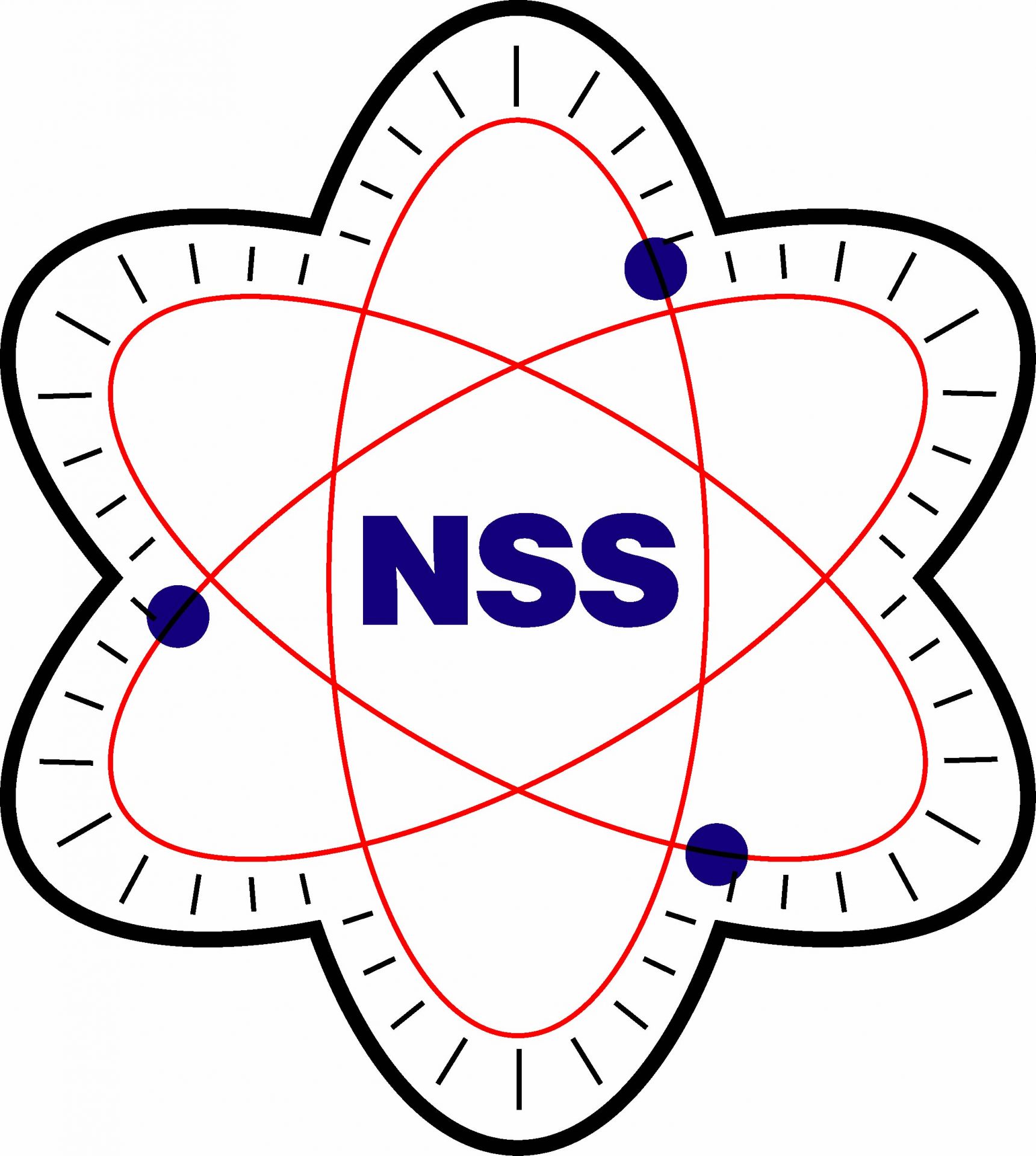 Nuclear Shielding Supplies & Service logo